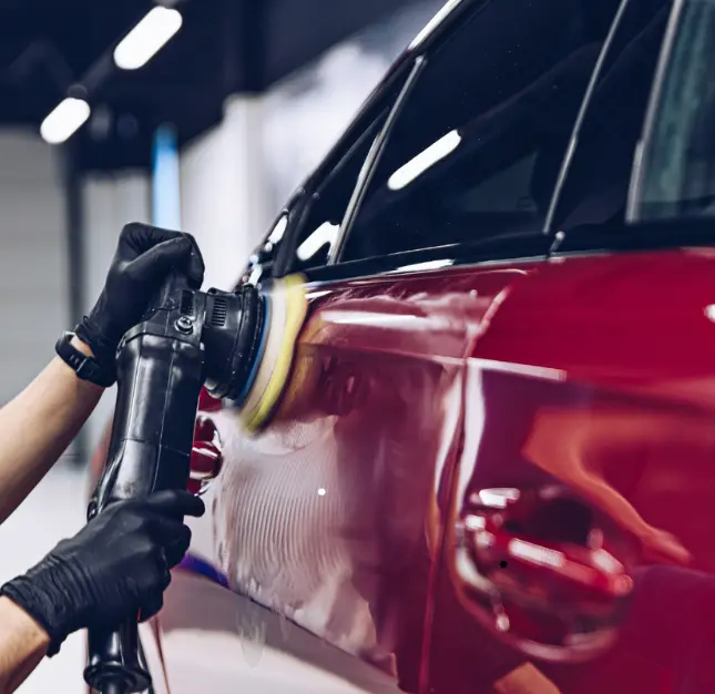 Untitled design (36)